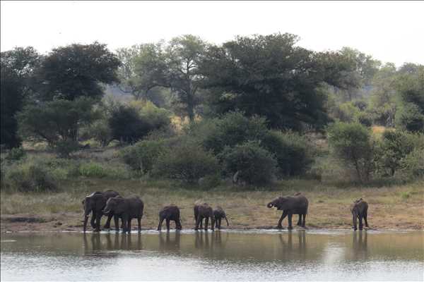 Krugerparken